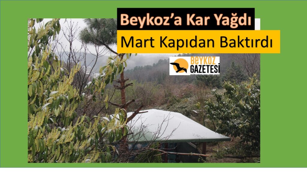Beykoz’un Yüksek Noktalarına Kar Yağdı