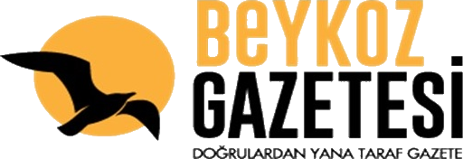 Beykoz Gazetesi