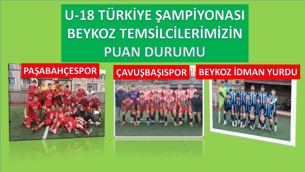 Şampiyon Gençlerimizin Türkiye Şampiyonası Puan Durumu