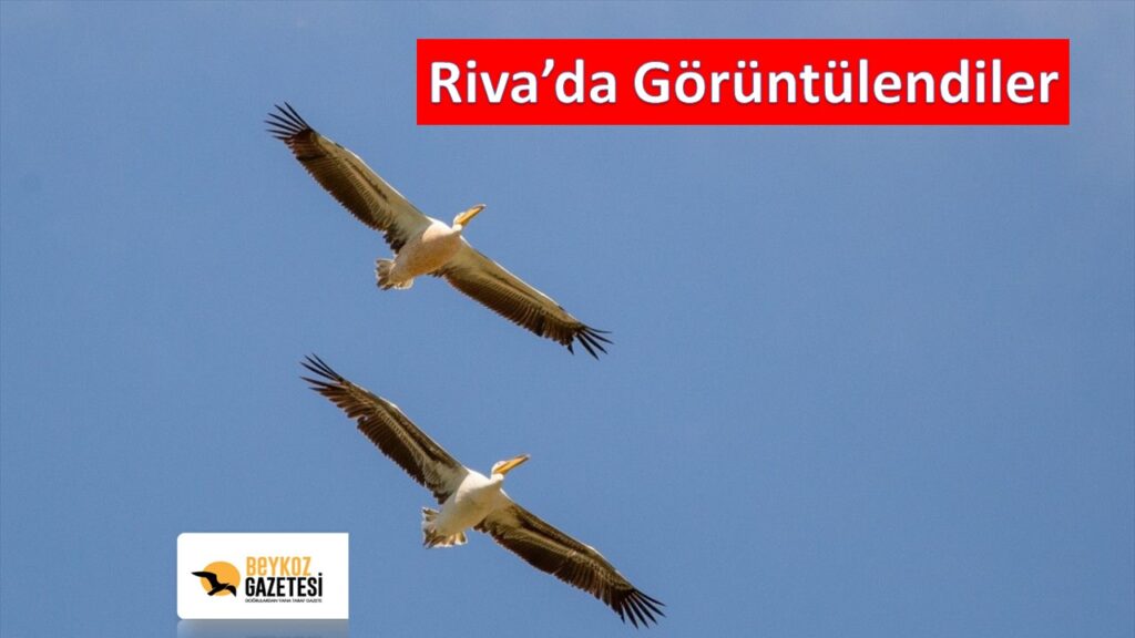 Riva’da Görüntülendiler…