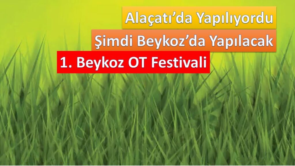 Alaçatı’da 12.si, Beykoz’da 1.si Düzenleniyor