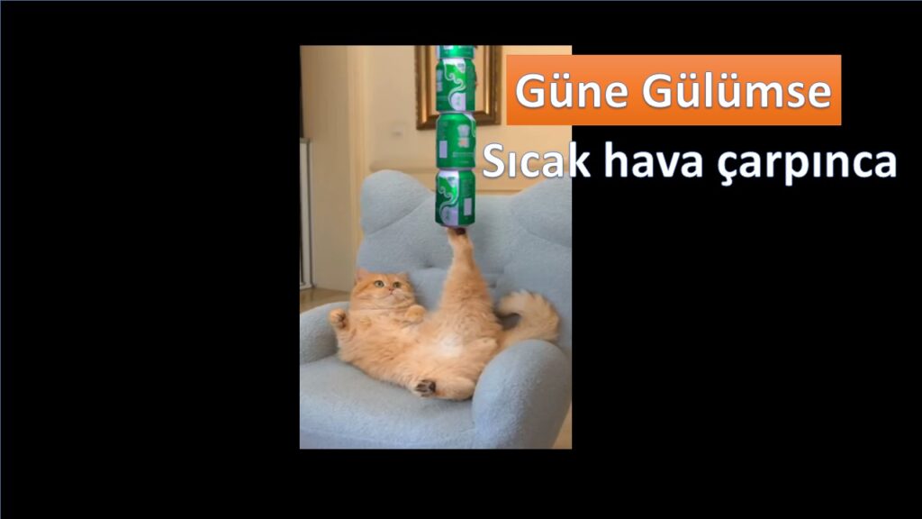 Güne Gülümse:)))
