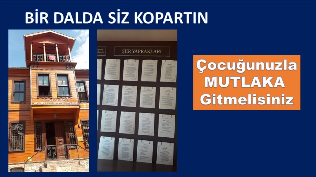 Görmedim diyen Beykozlu kalmasın…