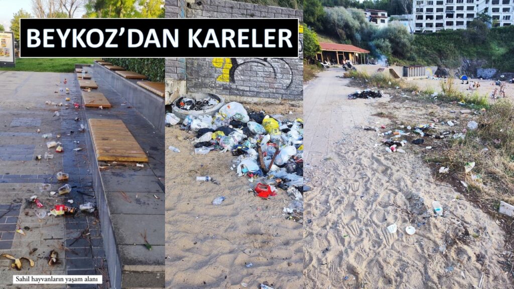 BEYKOZLU’NUN GÖZÜNDEN BEYKOZ’DAN KARELER