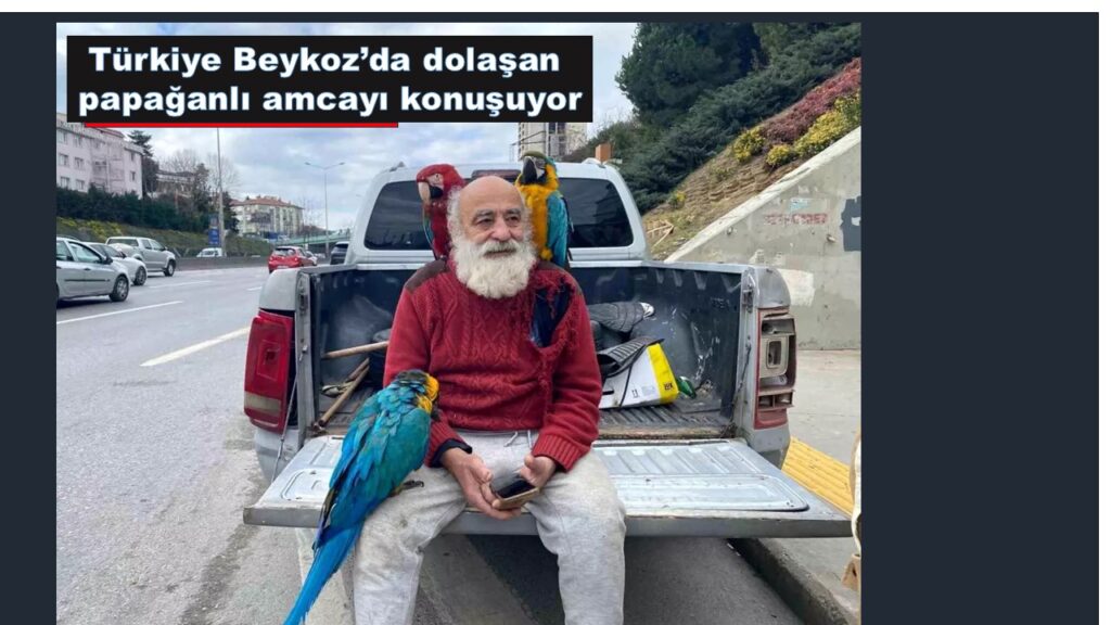 Beykozlu Papağanlı amca 14 papağanı ile ilgi odağı oldu