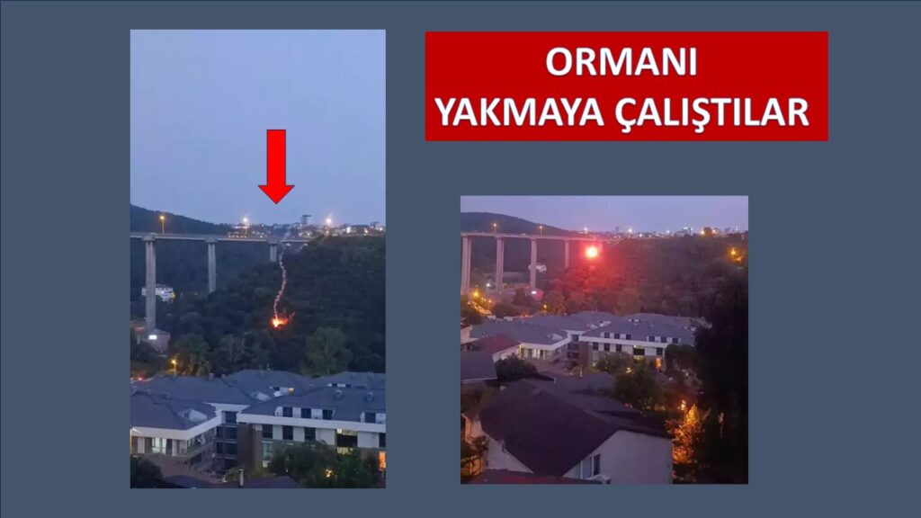 Beykoz’da orman yangını sabotajı. Meşale atıp ormanda yangın çıkardılar