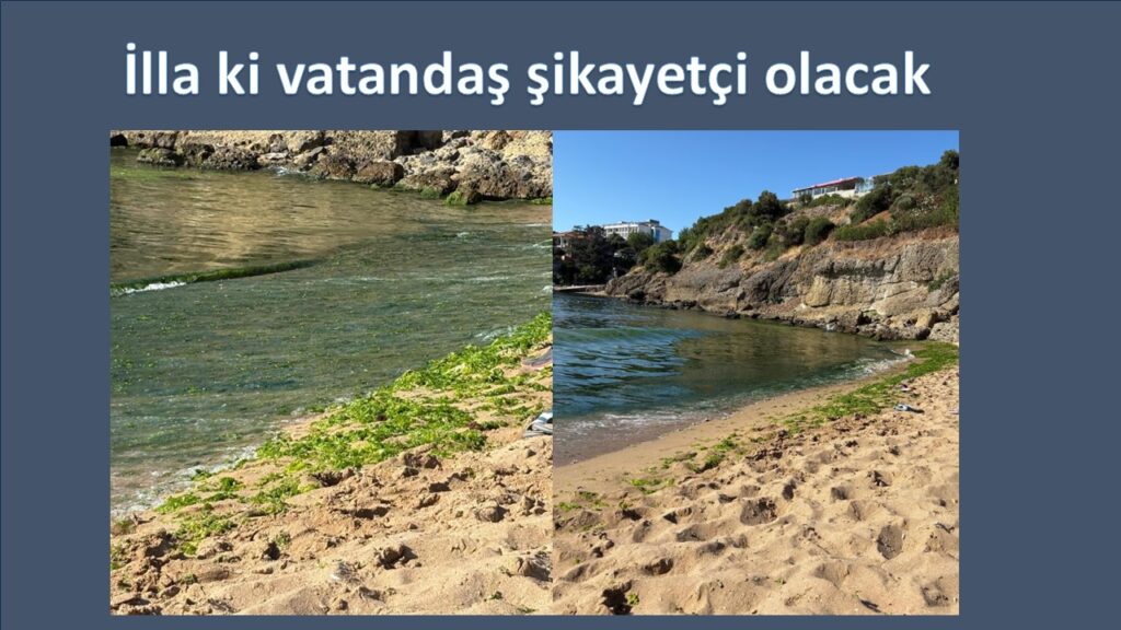 Beykoz’un yazın en gözde yeri temizliğe muhtaç. Bir de belediye işletmesi