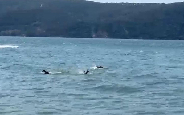 Beykoz’da tekne alabora oldu: 3 kişi kurtarıldı, 1 kişi hayatını kaybetti