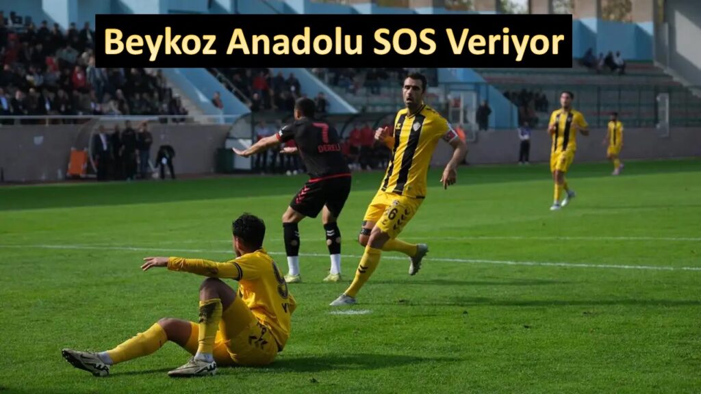 Beykoz Anadoluspor kendi sahasında perişan oldu 1-4