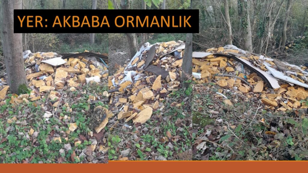 Beykoz Belediyesi Görmedim Duymadım Demeyin… El Arabası İle Taşınmadı Aşikar