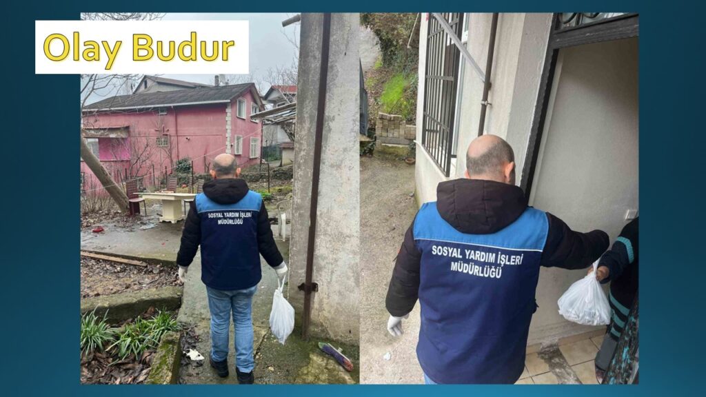 Beykoz’da ele geçirilen 204 kasa balık ihtiyaç sahiplerine dağıtıldı