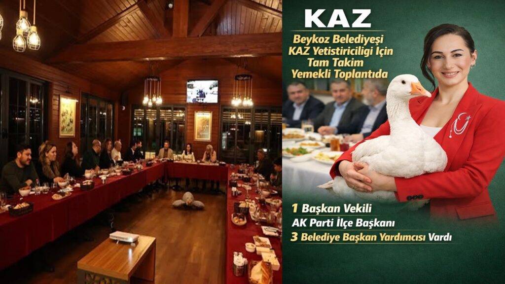 Beykoz Belediyesi Başkan Vekili Gürzel A Takımını Kaz Yetiştiriciliği İçin Topladı