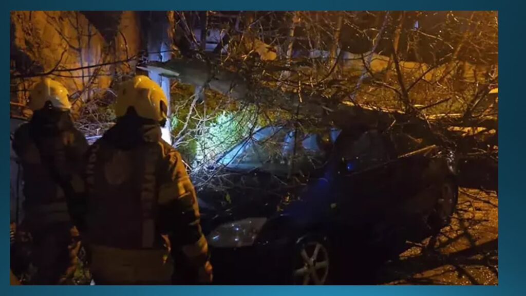 Beykoz Soğuksu’da fırtınada devrilen ağaç 2 otomobilin üzerine düştü