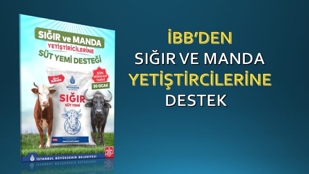 İBB’nin sığır ve manda süt yemi desteği başvuruları 30 Ocak’a kadar uzatıldı.