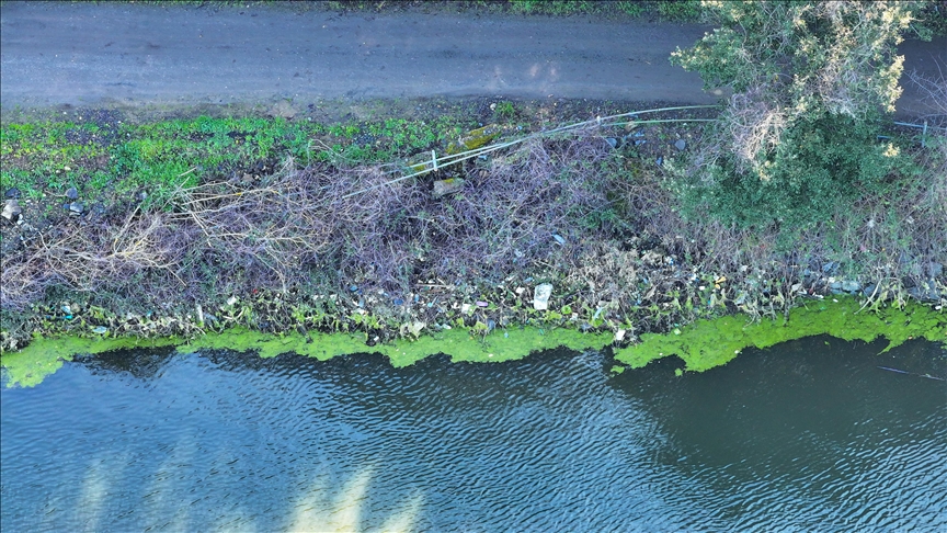 Beykoz Elmalı Barajı’nın kıyısındaki atıklar çevre kirliliğine neden oldu