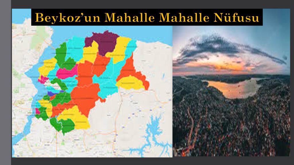 Beykoz’un Toplam Nüfusu 256 bin 823 Oldu. Kadın sayısı erkek sayısından fazla çıktı.