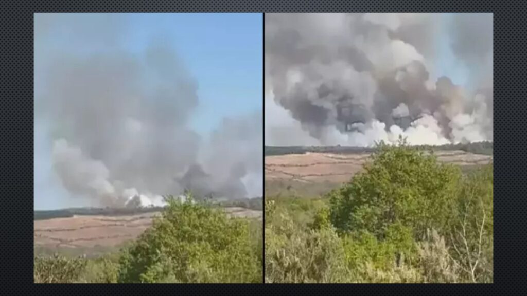 Beykoz Kılıçlı Mahallesi’nde Orman Yangını