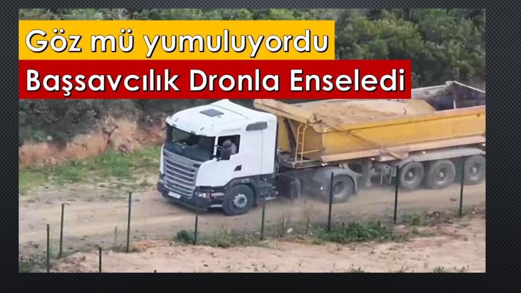Beykoz’da Çevre Katliamına Savcılık ve İlçe Emniyet Dur Dedi. Göz mü yumuluyordu