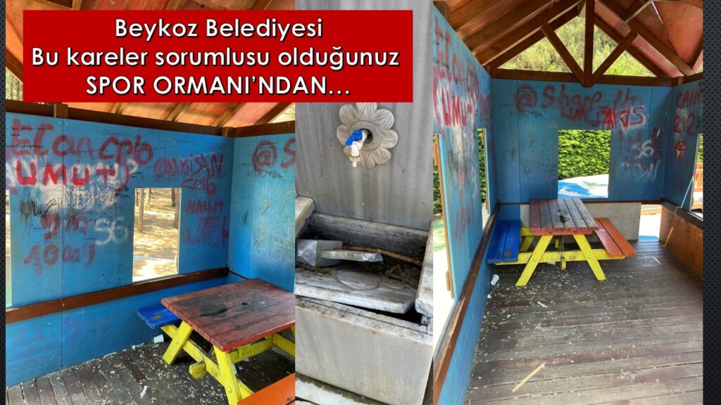 Beykoz Belediyesi Yaz Geldi. Spor Ormanı ŞOK HİZMET Bekler!!!